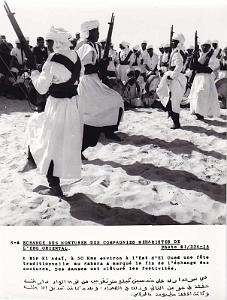 Algerie propagande 030
